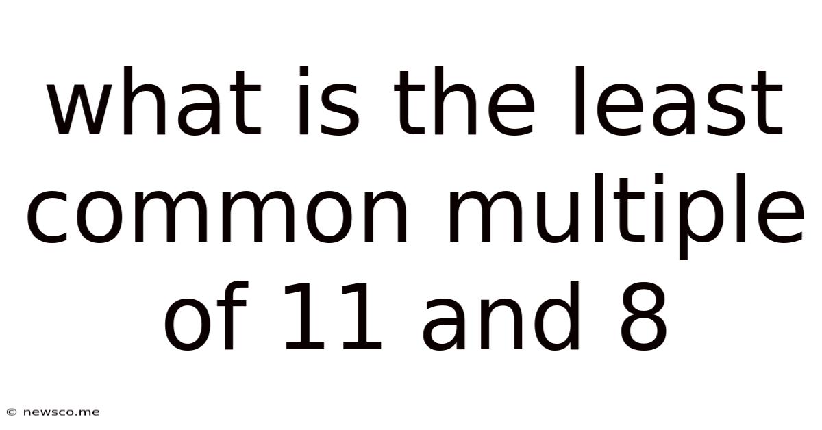 What Is The Least Common Multiple Of 11 And 8