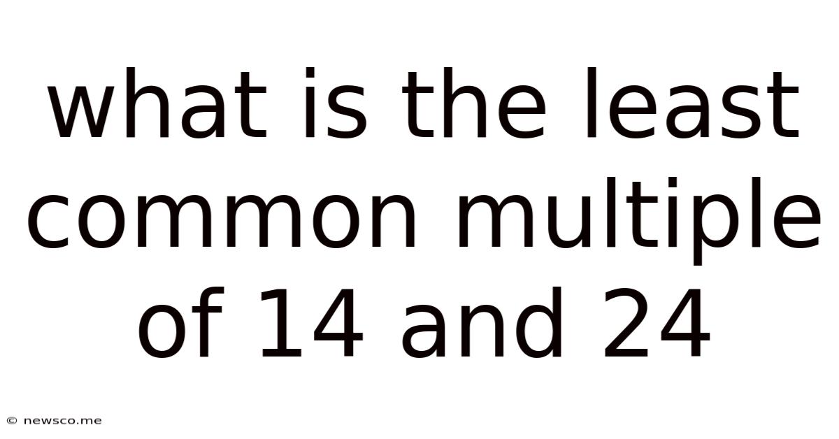 What Is The Least Common Multiple Of 14 And 24