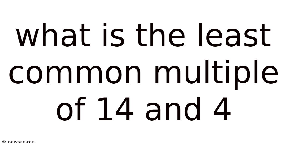 What Is The Least Common Multiple Of 14 And 4