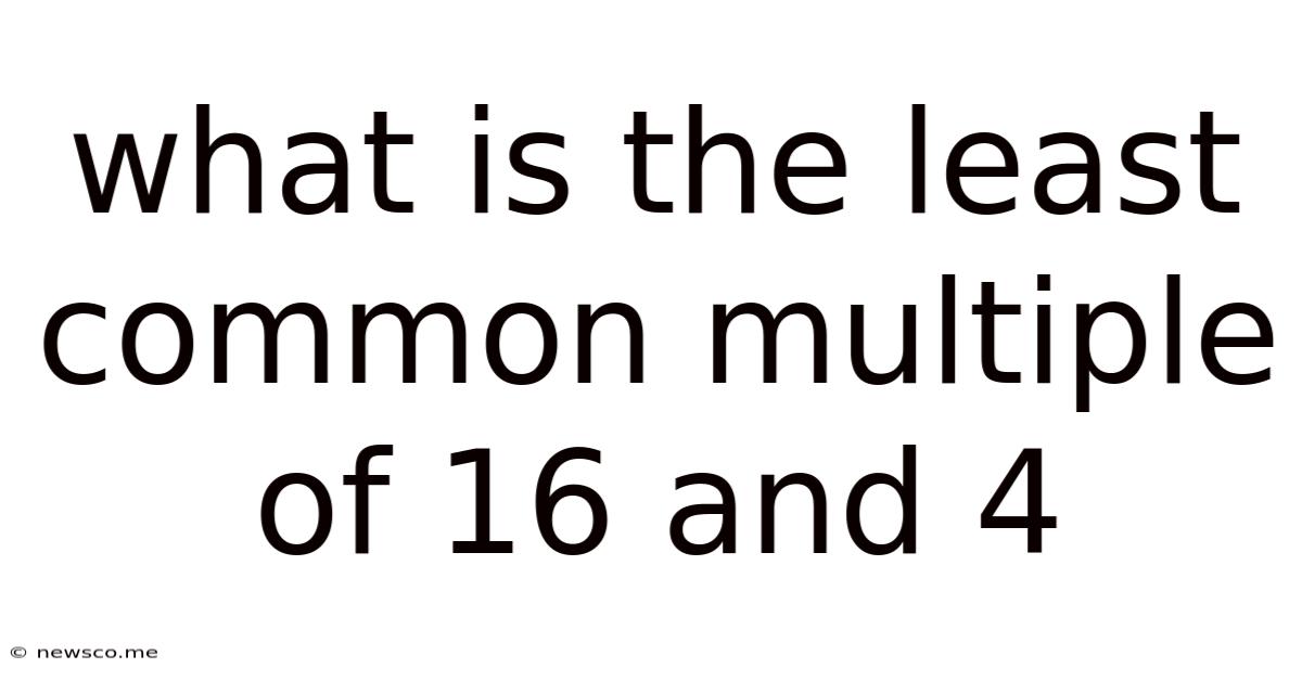 What Is The Least Common Multiple Of 16 And 4