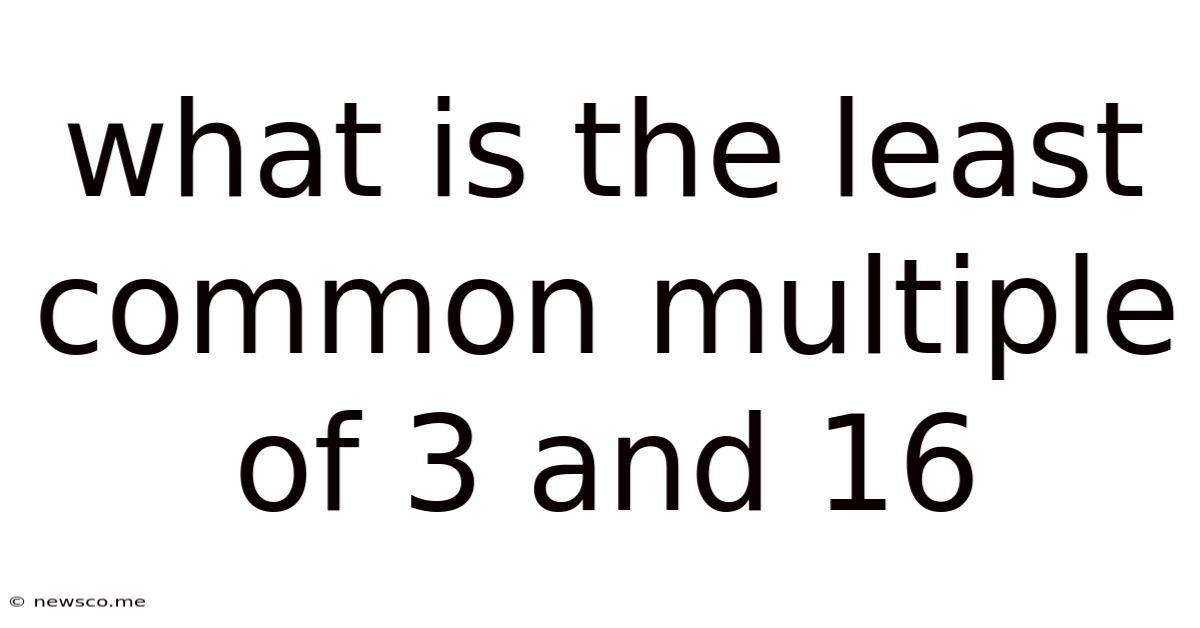 What Is The Least Common Multiple Of 3 And 16