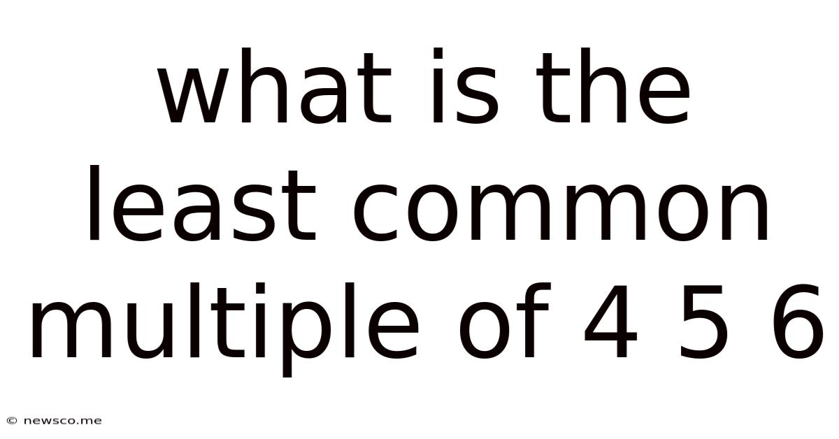 What Is The Least Common Multiple Of 4 5 6