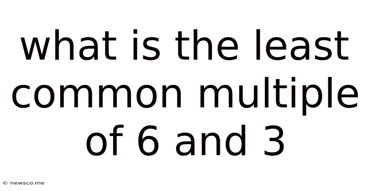 What Is The Least Common Multiple Of 6 And 3
