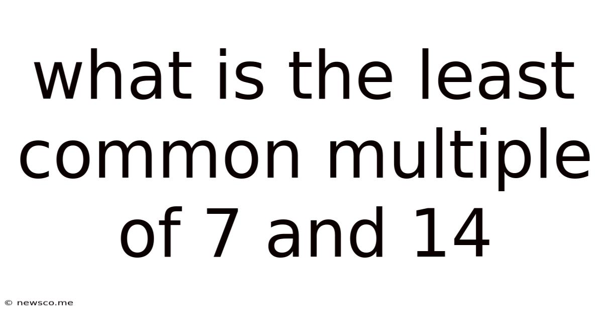 What Is The Least Common Multiple Of 7 And 14