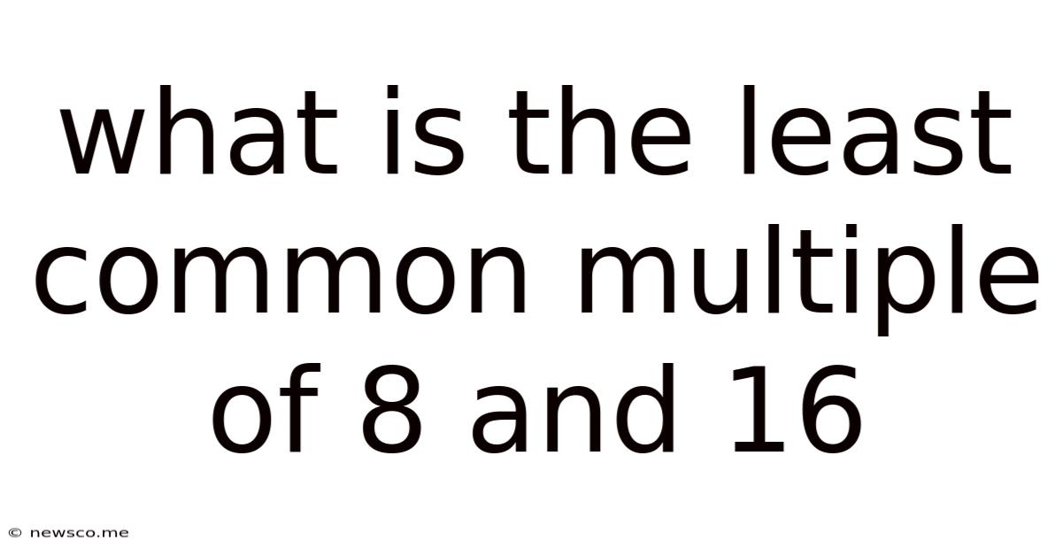 What Is The Least Common Multiple Of 8 And 16