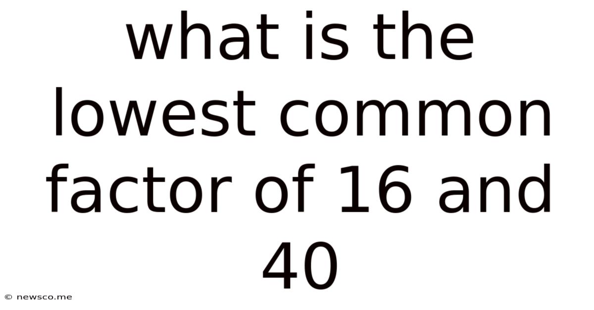 What Is The Lowest Common Factor Of 16 And 40