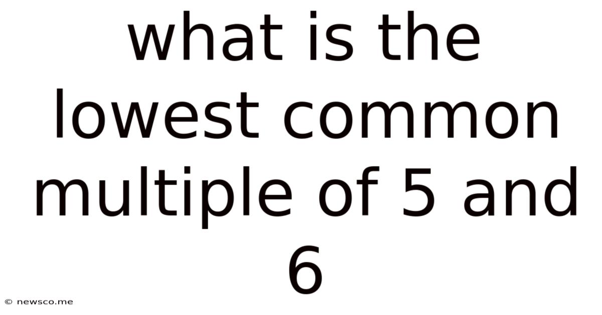 What Is The Lowest Common Multiple Of 5 And 6