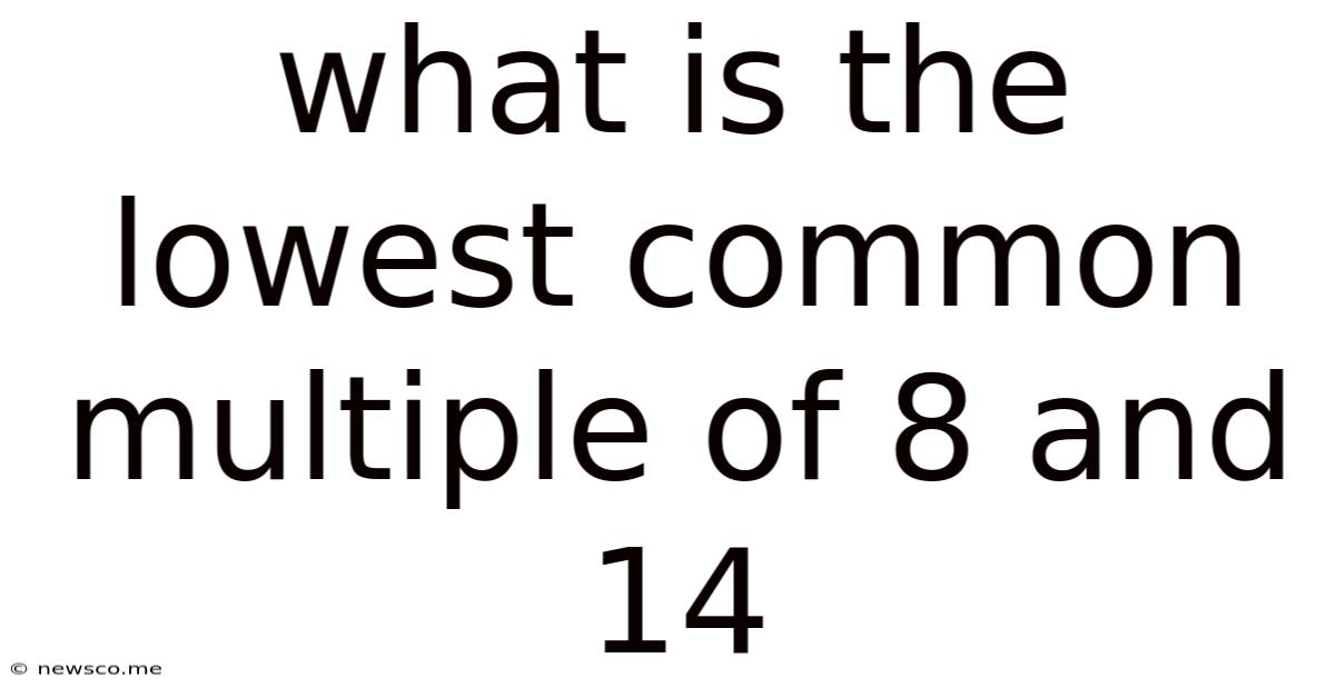 What Is The Lowest Common Multiple Of 8 And 14