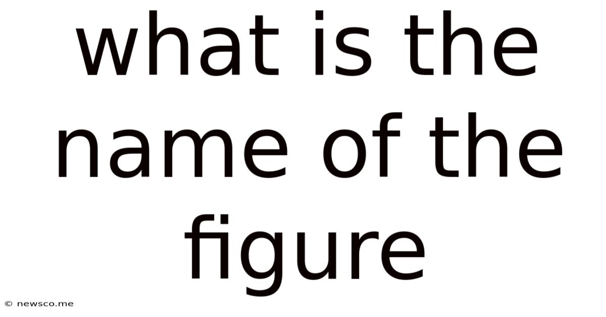What Is The Name Of The Figure