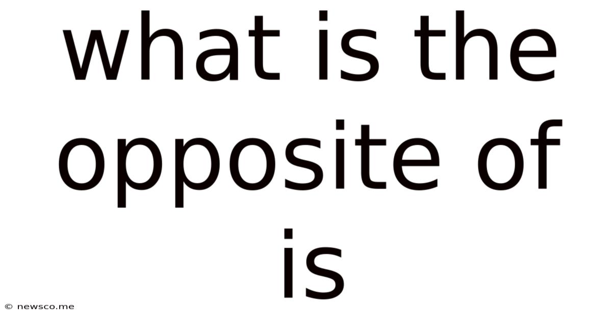 What Is The Opposite Of Is