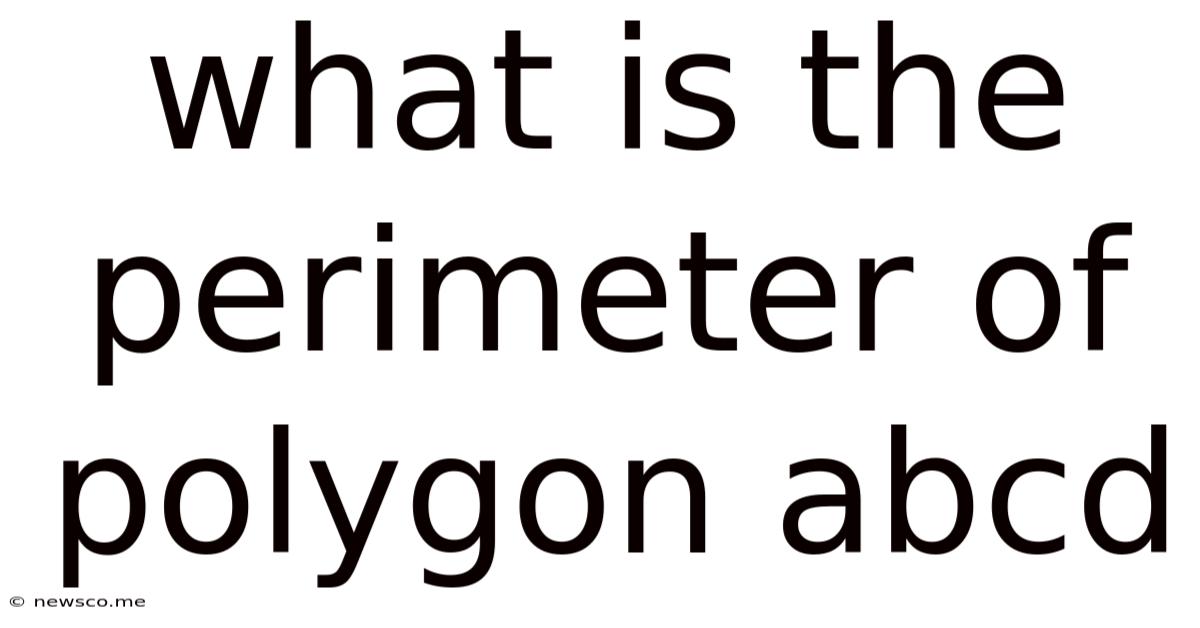 What Is The Perimeter Of Polygon Abcd