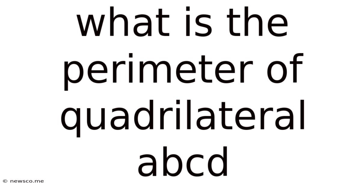 What Is The Perimeter Of Quadrilateral Abcd