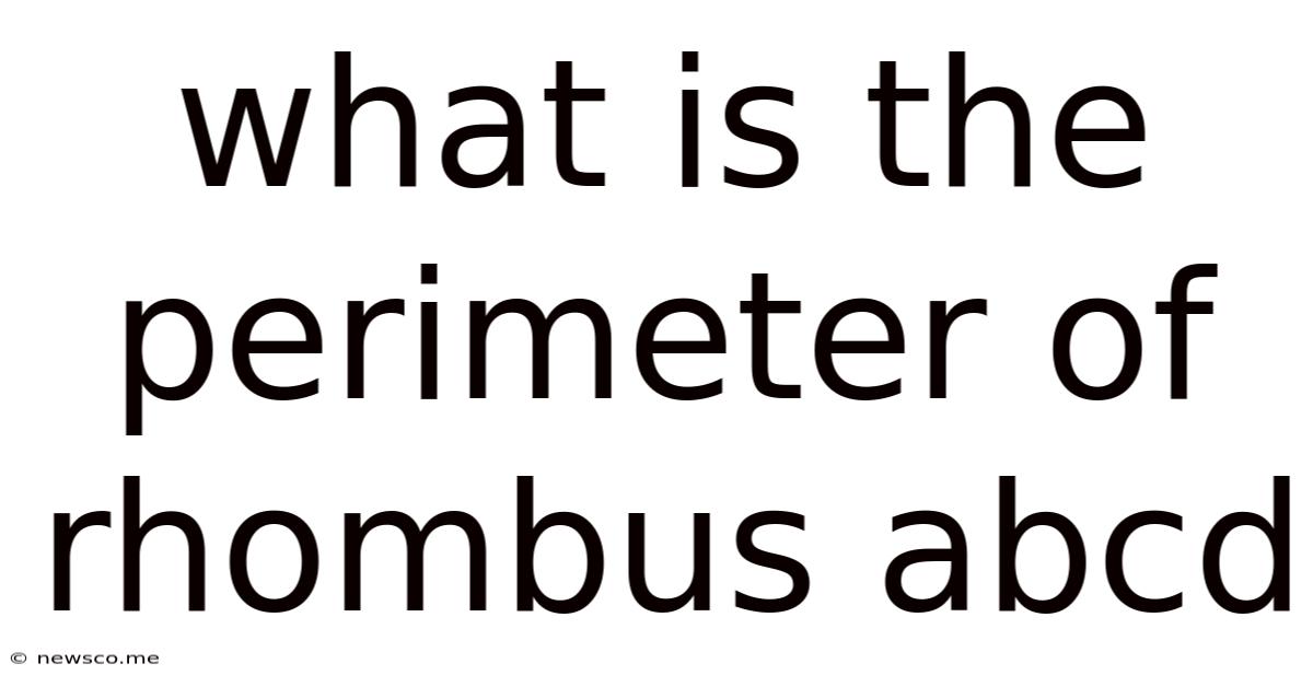 What Is The Perimeter Of Rhombus Abcd