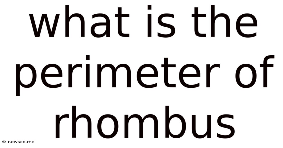 What Is The Perimeter Of Rhombus