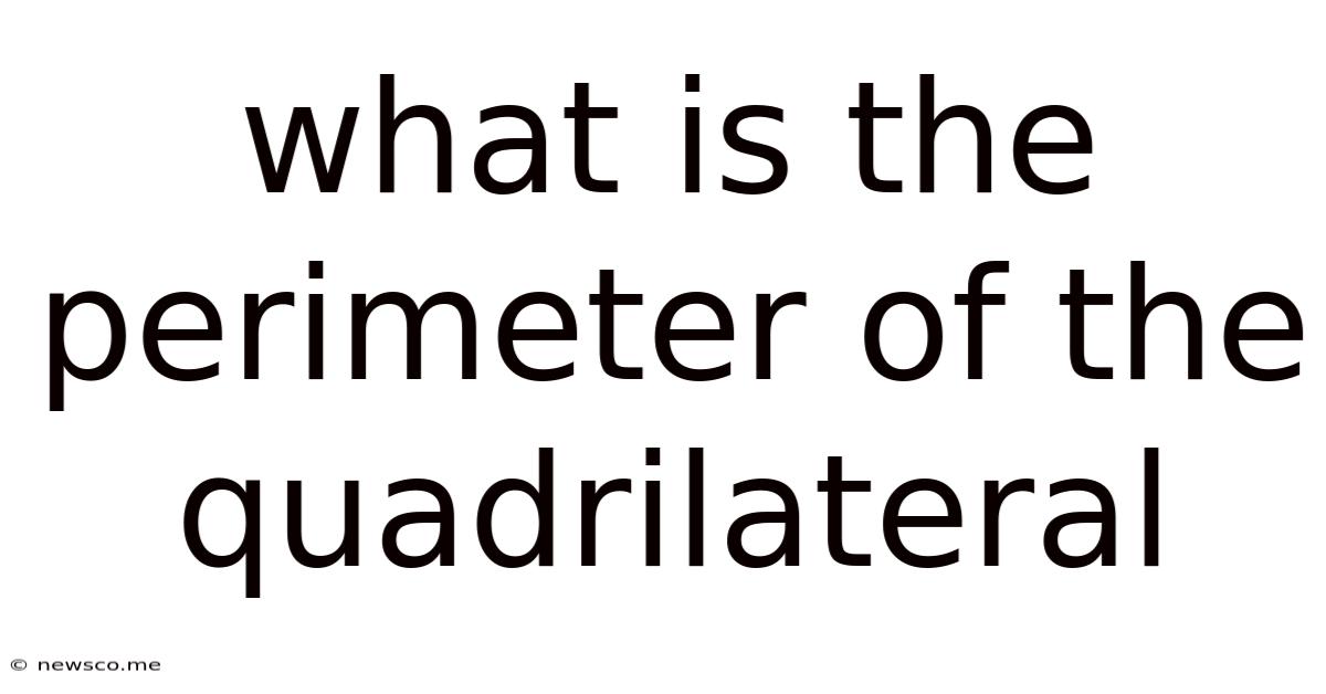 What Is The Perimeter Of The Quadrilateral