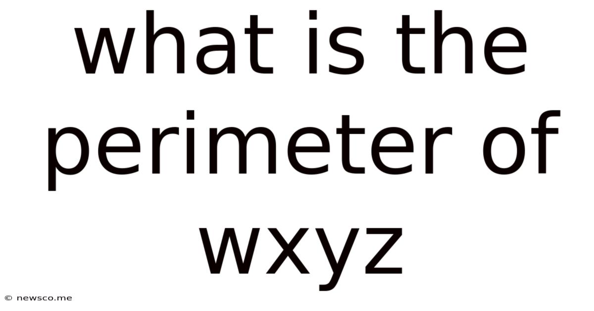 What Is The Perimeter Of Wxyz
