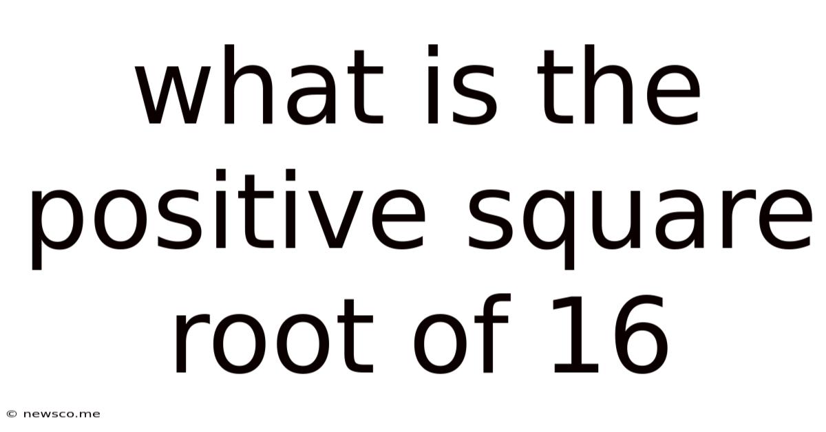 What Is The Positive Square Root Of 16