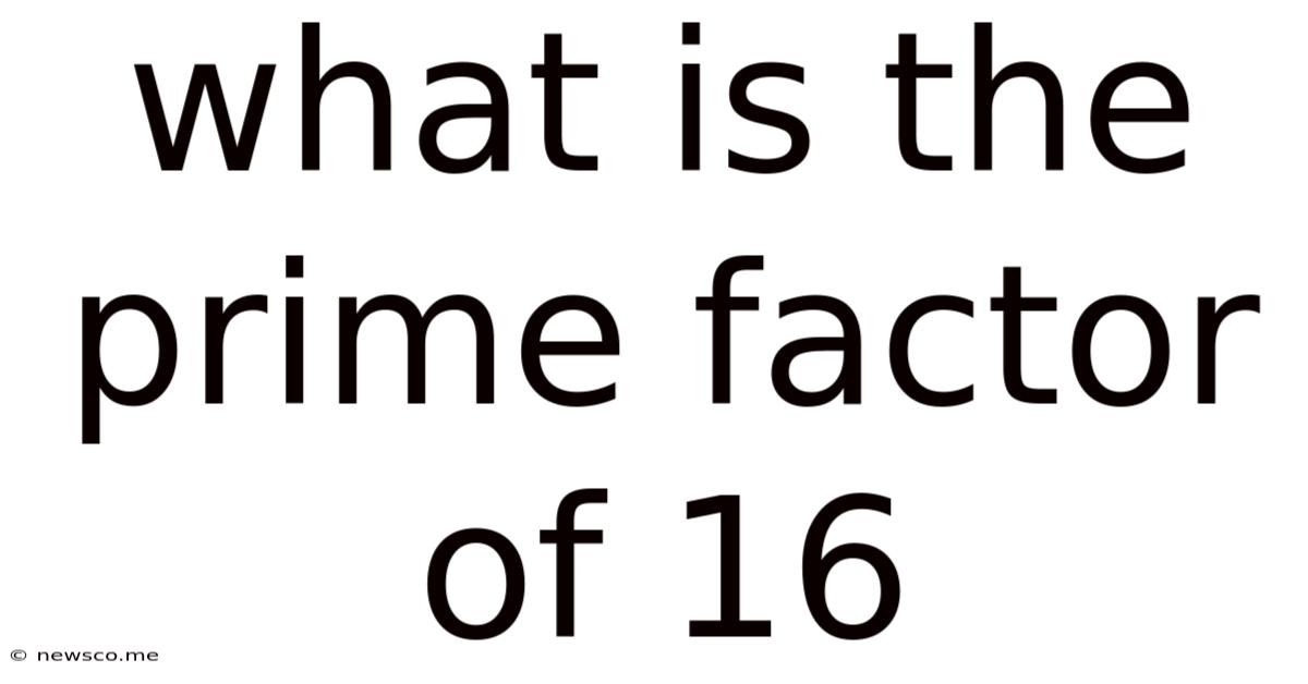 What Is The Prime Factor Of 16