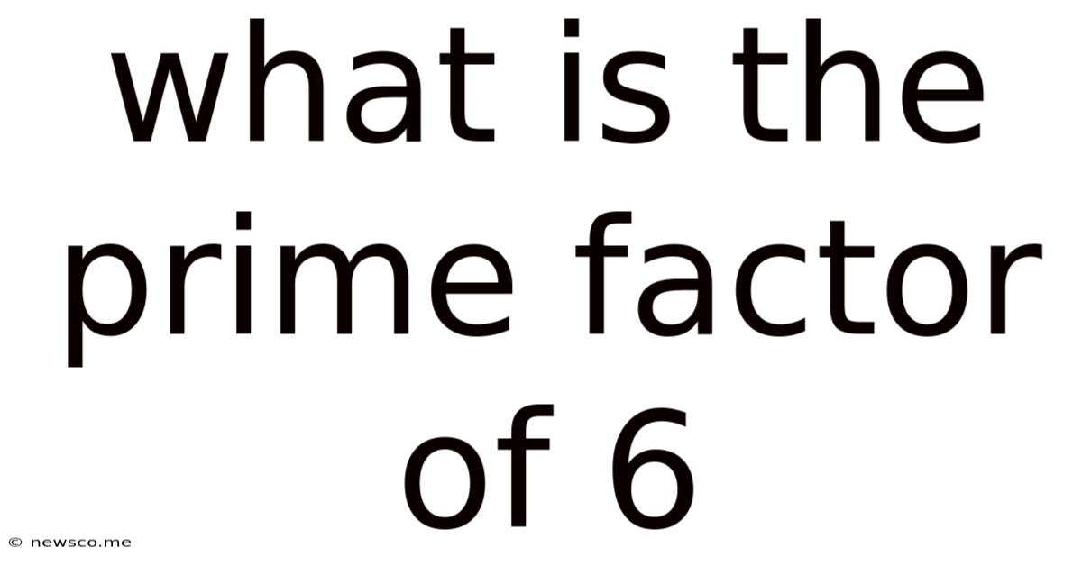 What Is The Prime Factor Of 6