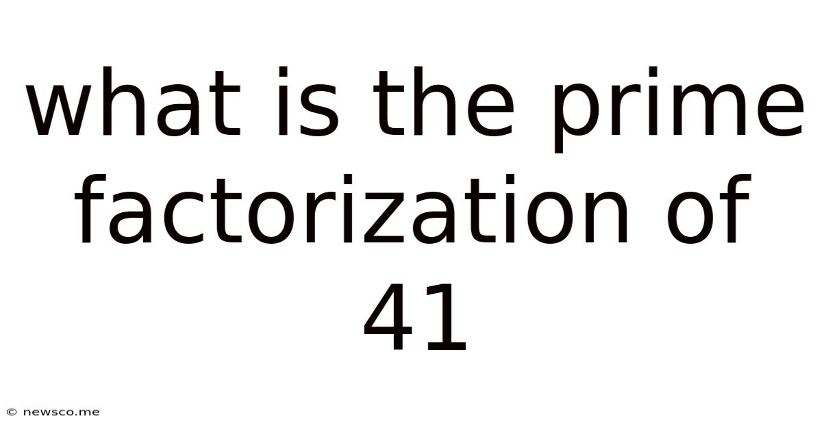 What Is The Prime Factorization Of 41