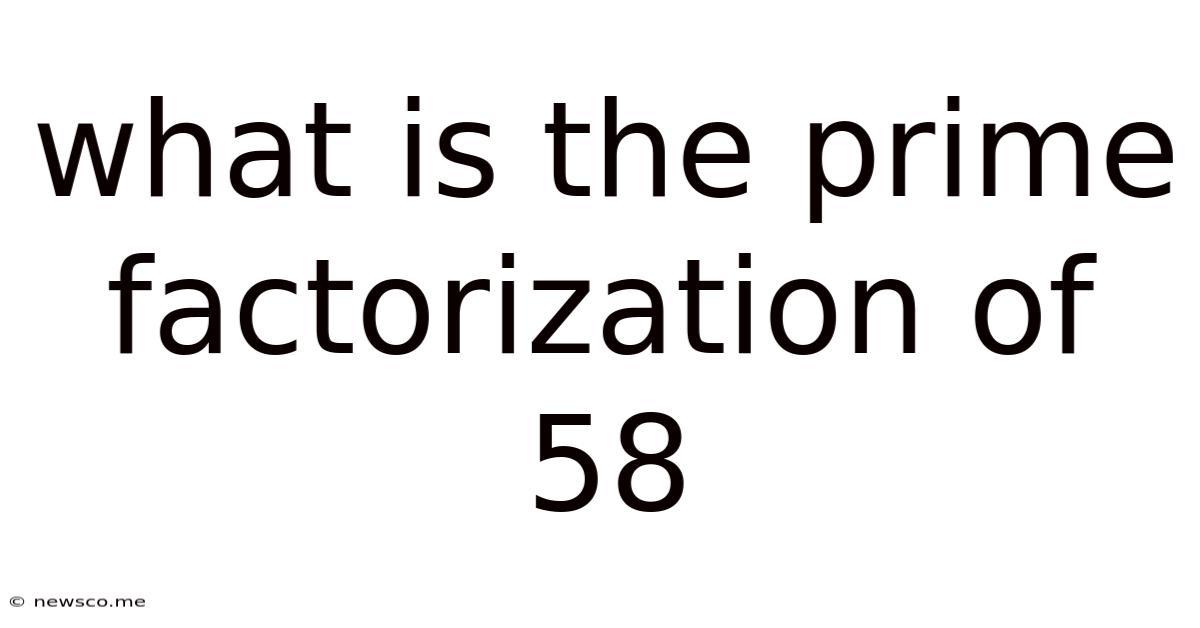 What Is The Prime Factorization Of 58