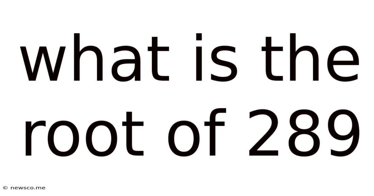 What Is The Root Of 289