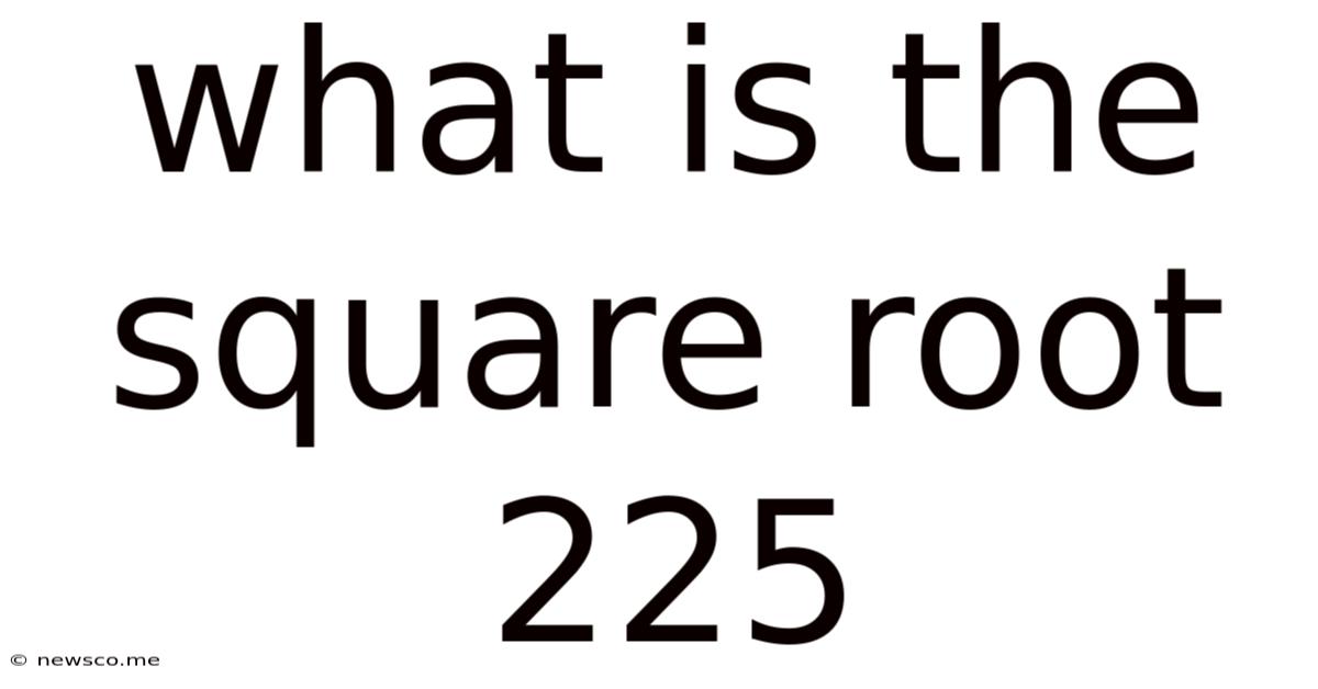 What Is The Square Root 225