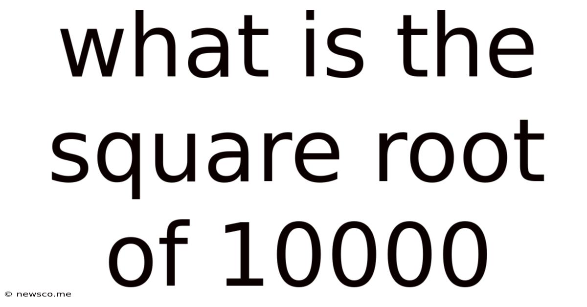 What Is The Square Root Of 10000