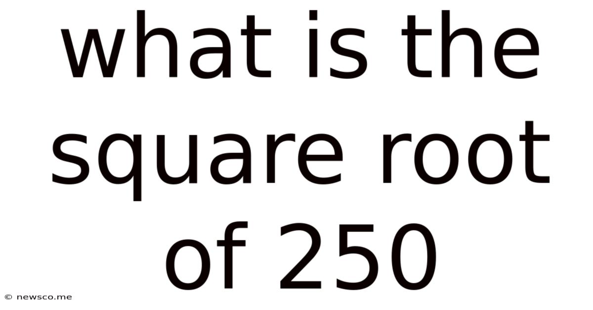 What Is The Square Root Of 250