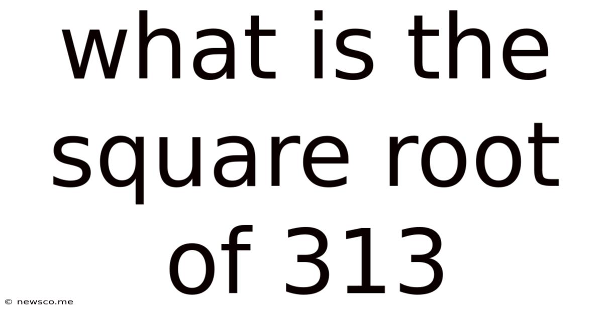 What Is The Square Root Of 313