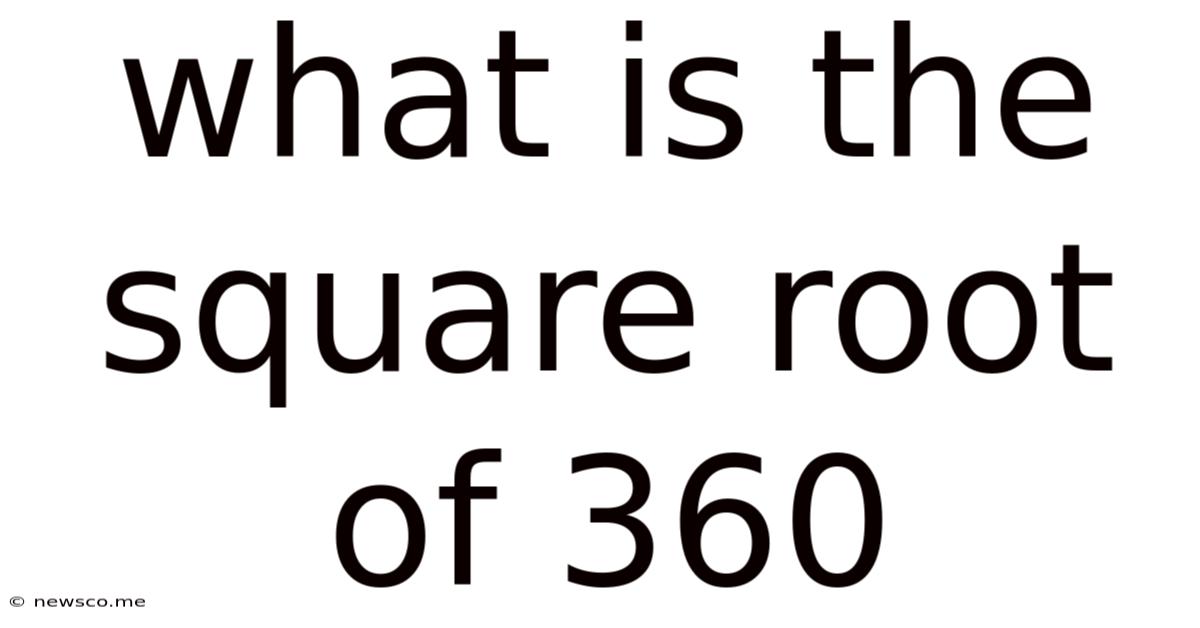 What Is The Square Root Of 360