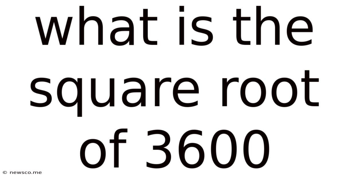 What Is The Square Root Of 3600
