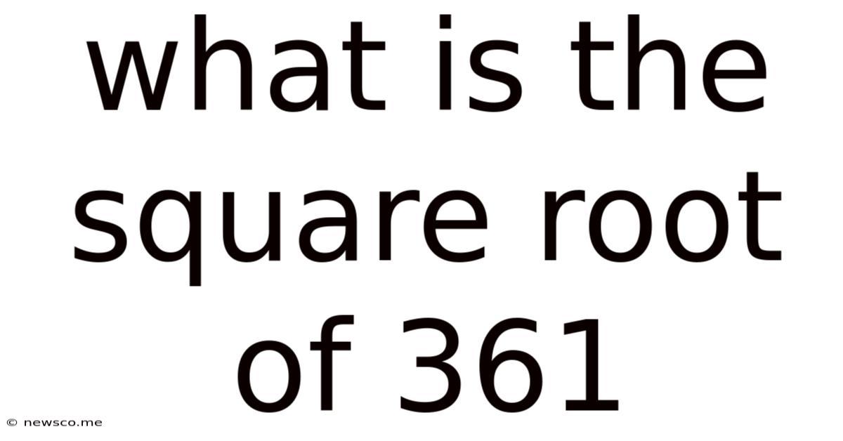 What Is The Square Root Of 361