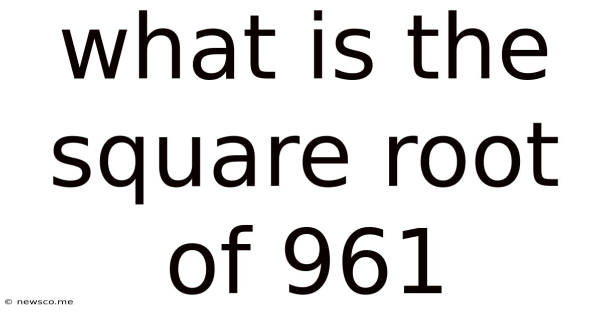 What Is The Square Root Of 961