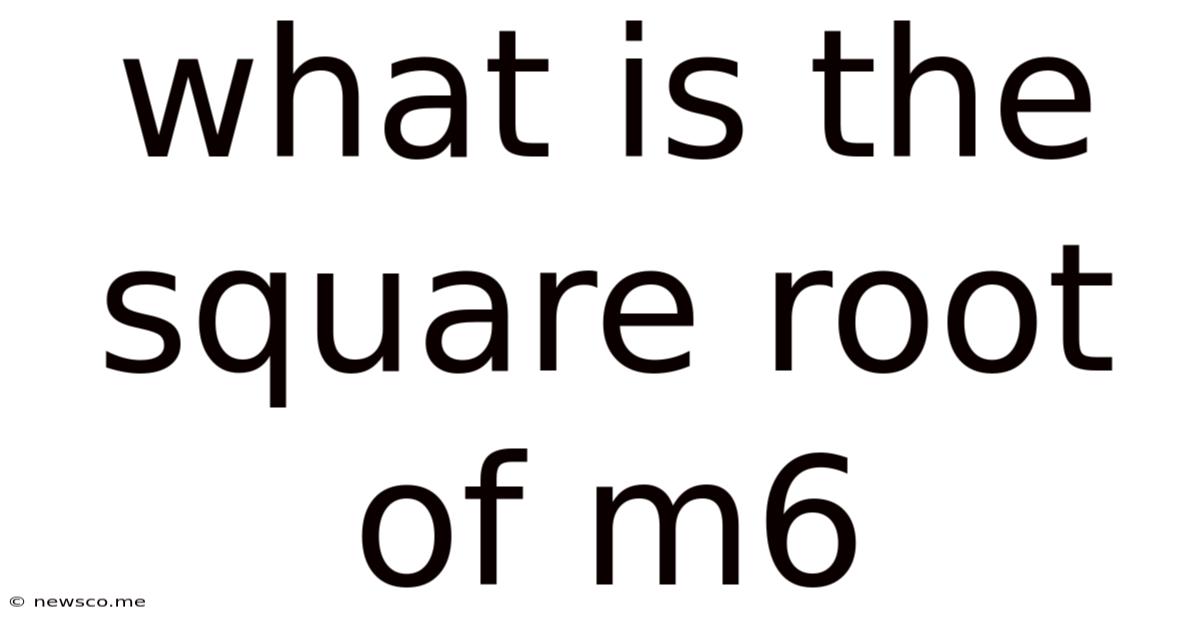 What Is The Square Root Of M6