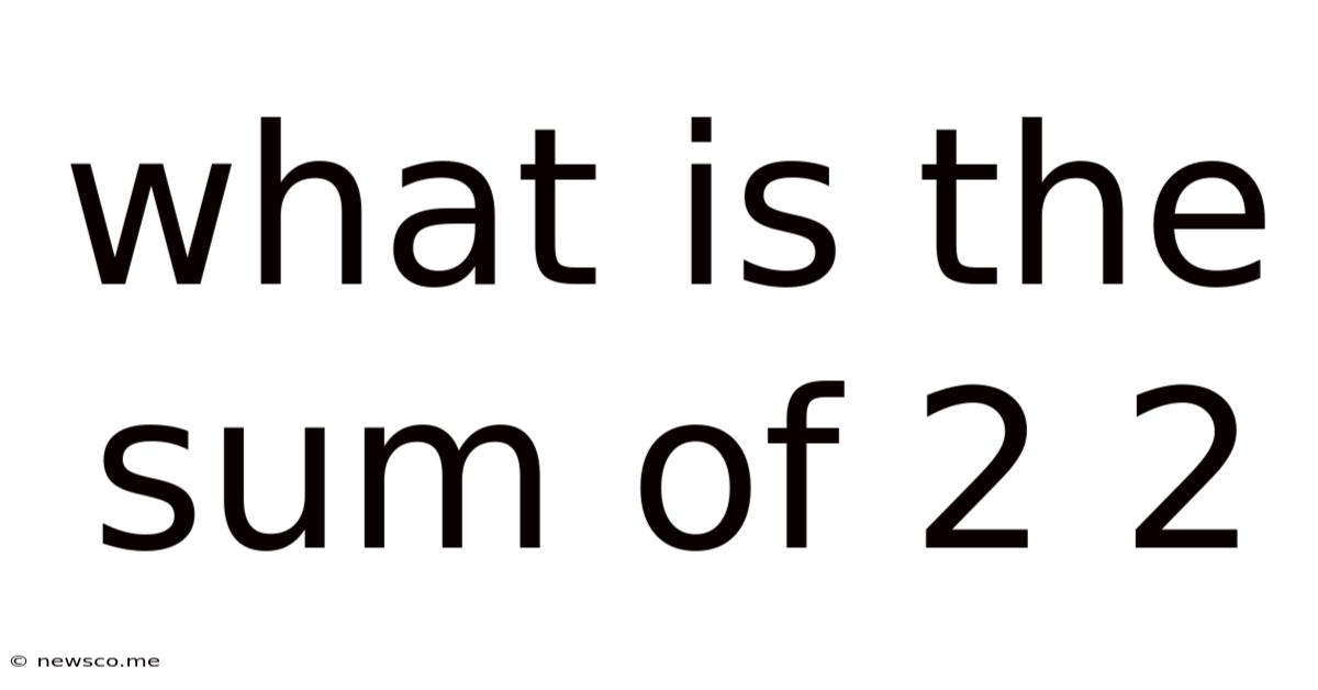 What Is The Sum Of 2 2