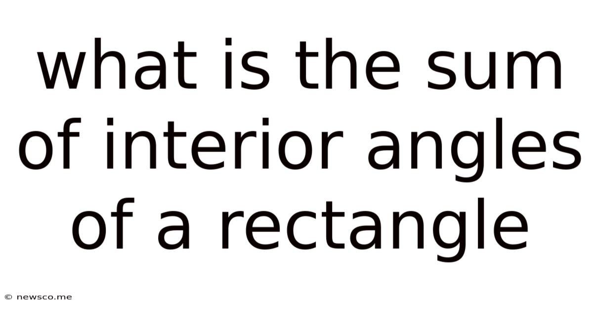 What Is The Sum Of Interior Angles Of A Rectangle
