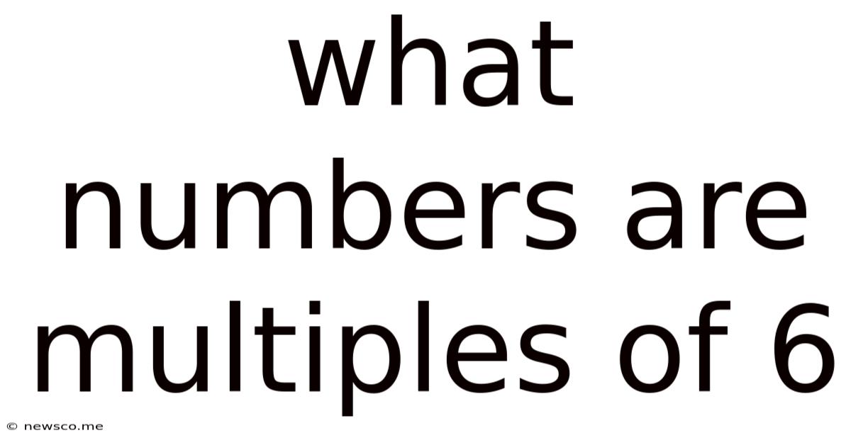 What Numbers Are Multiples Of 6