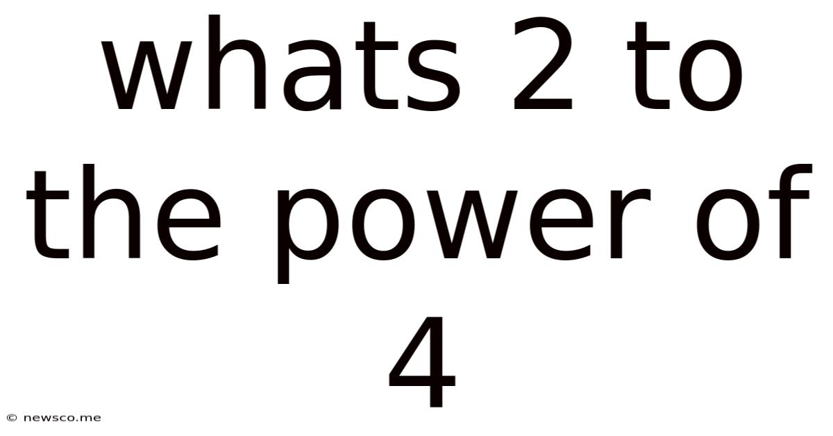 Whats 2 To The Power Of 4