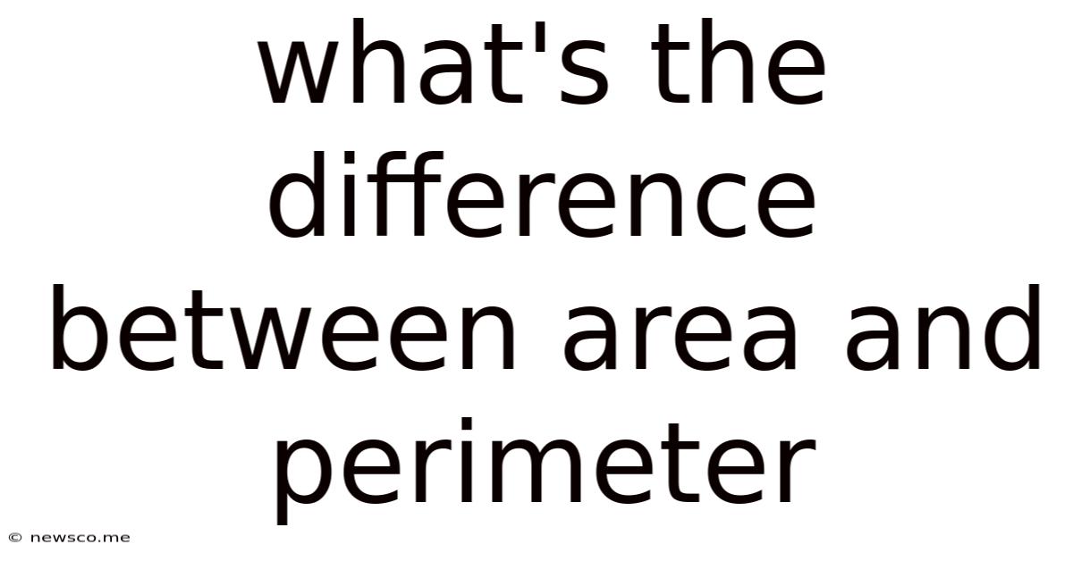 What's The Difference Between Area And Perimeter