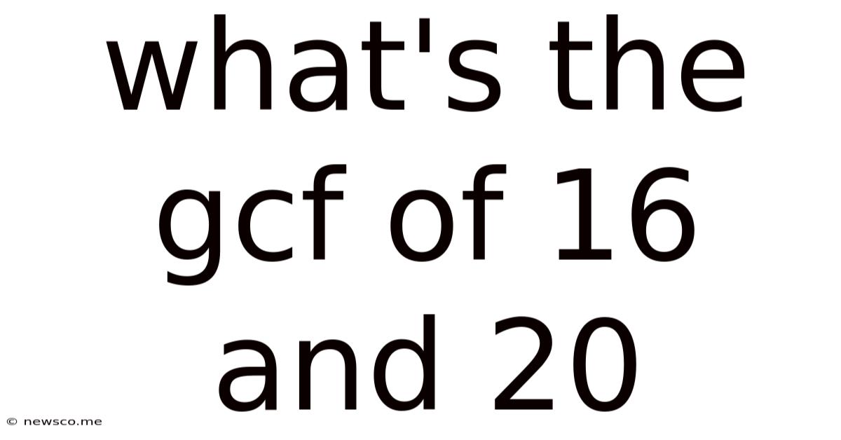 What's The Gcf Of 16 And 20