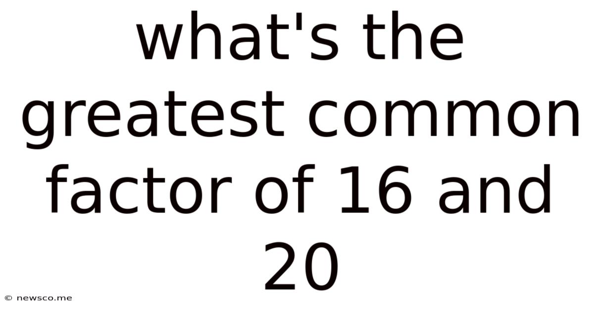 What's The Greatest Common Factor Of 16 And 20
