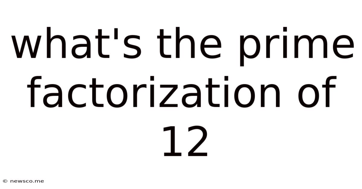 What's The Prime Factorization Of 12