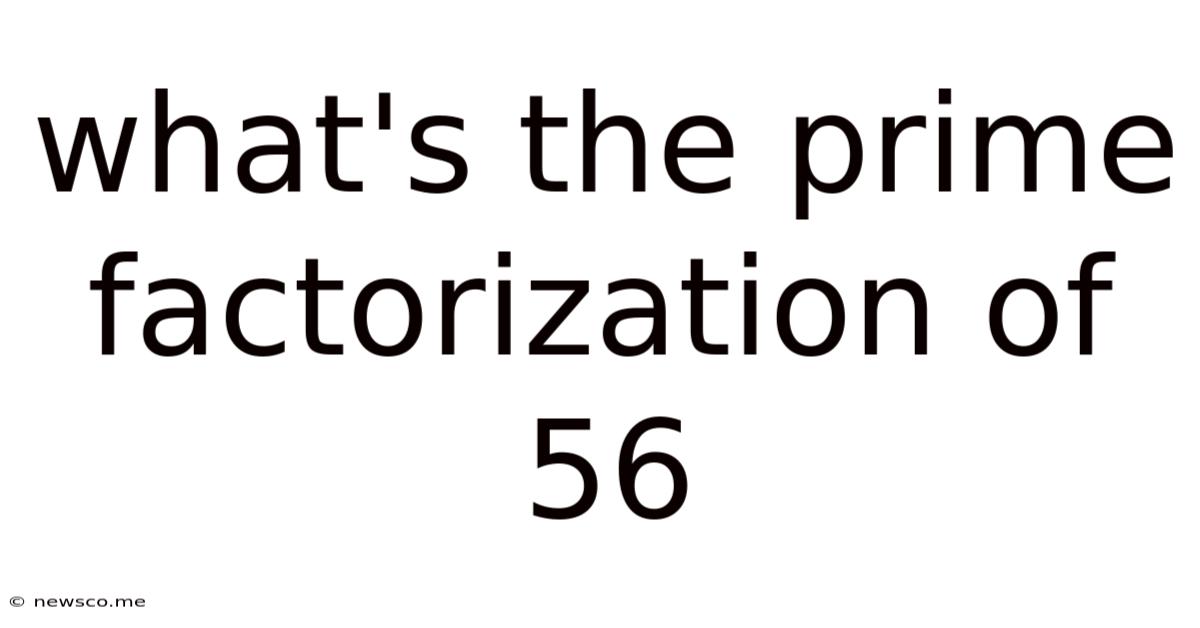 What's The Prime Factorization Of 56