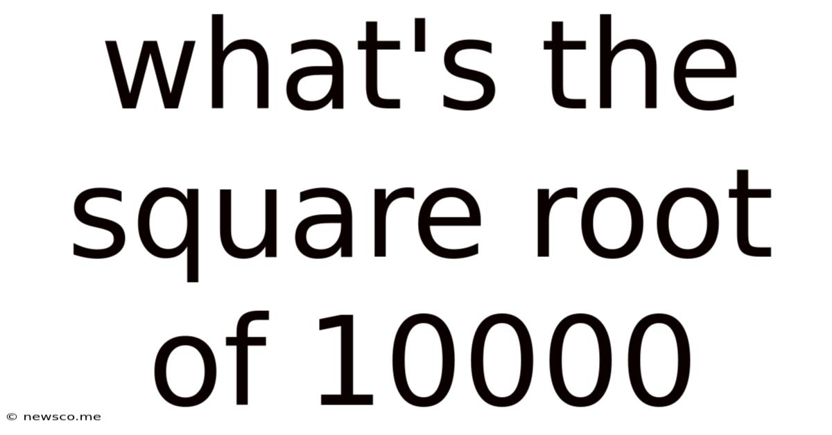 What's The Square Root Of 10000
