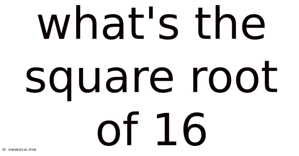 What's The Square Root Of 16