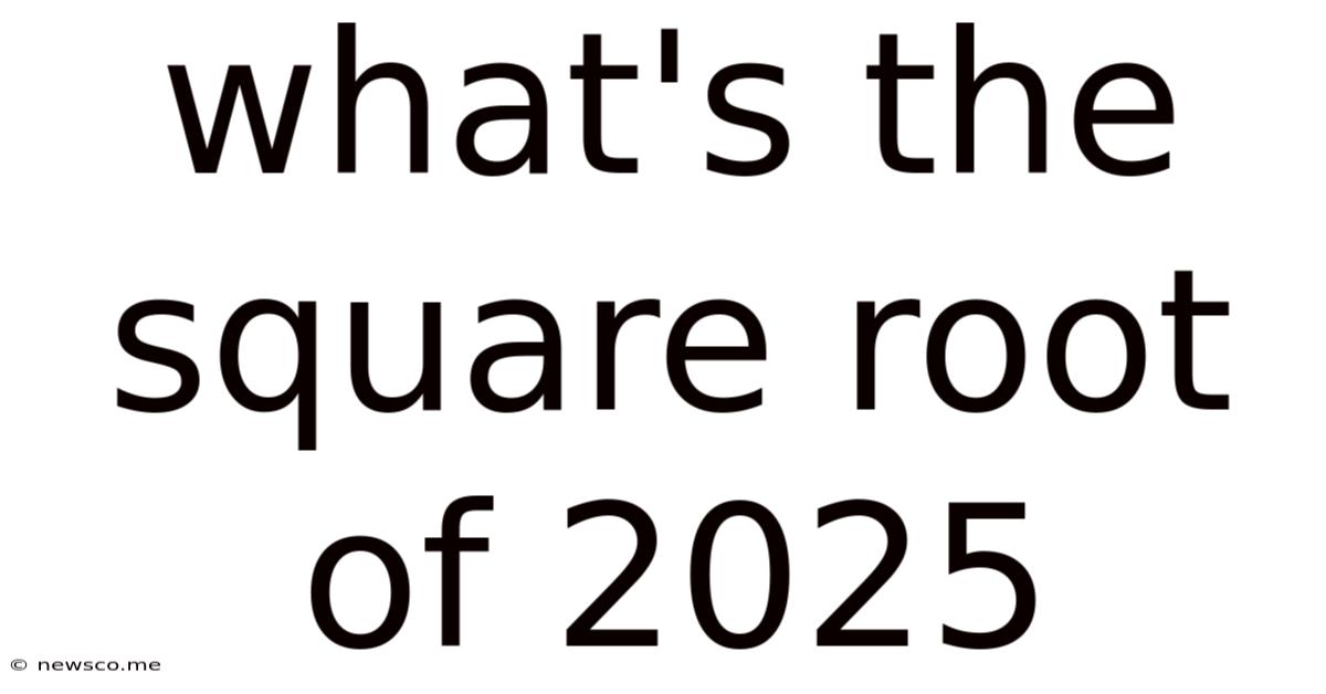 What's The Square Root Of 2025