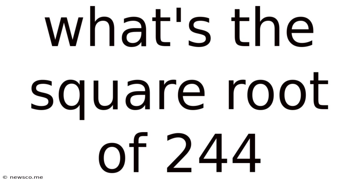 What's The Square Root Of 244