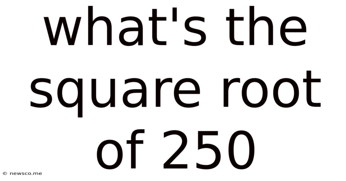 What's The Square Root Of 250