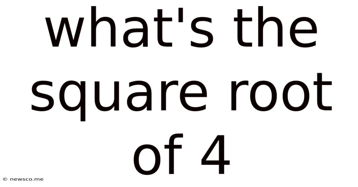 What's The Square Root Of 4
